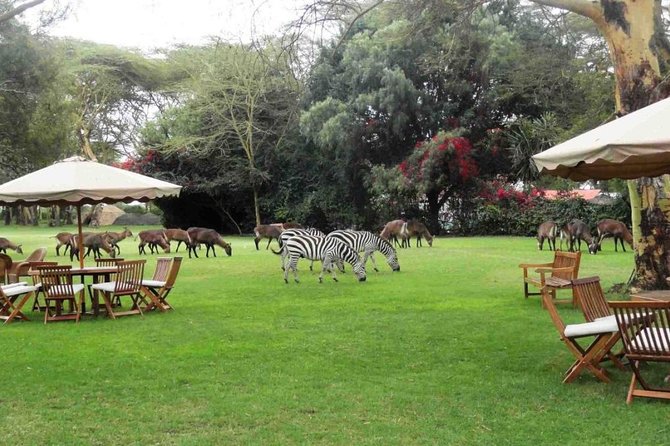 Hells Gate Excursion in Naivasha - Reviews