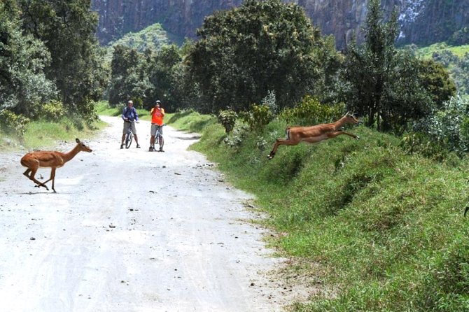 Hells Gate Excursion in Naivasha - Highlights of the Excursion