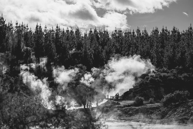 Hells Gate Geothermal Walk - Guided Tours