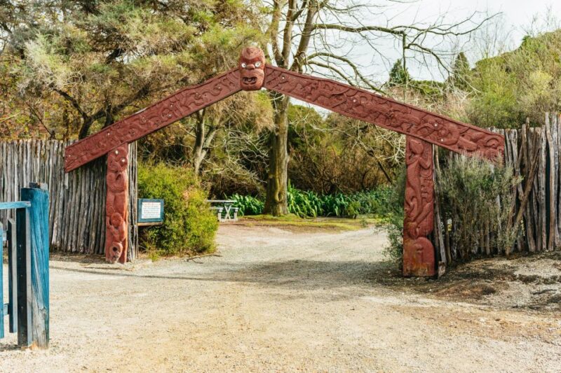 Hells Gate Mud Bath and Sulphur Spa Experience - Age and Health Restrictions