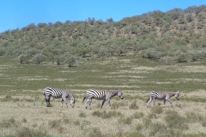 Hells Gate National Park Day Trip - Private Transportation