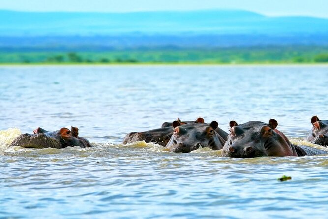 Hells Gate National Park Private Bike Tour From Nairobi - Optional Lake Naivasha