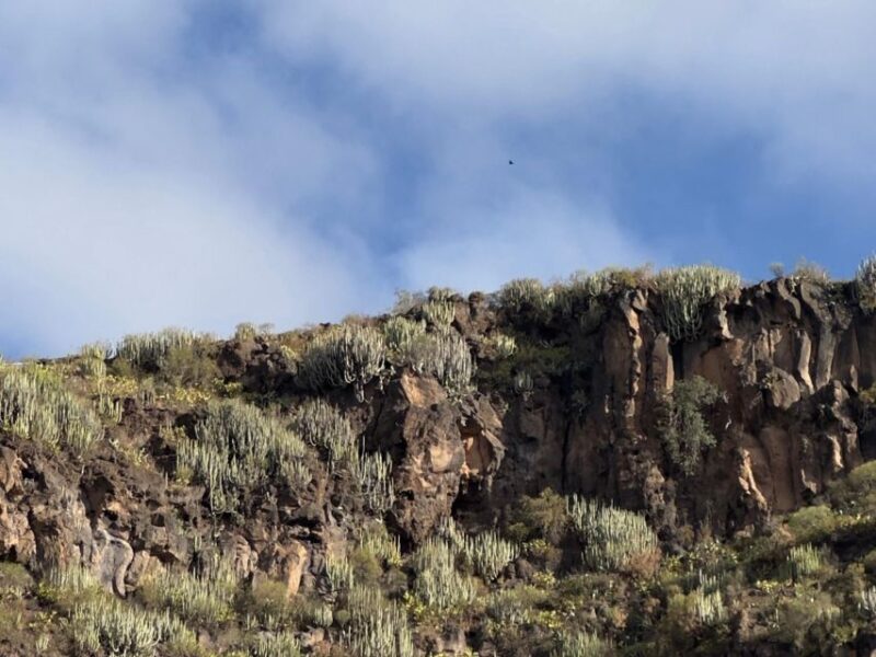 Hells Gorge Hike - Barranco Del Infierno - Key Points