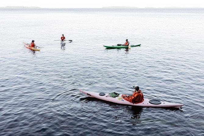 Helsinki by Kayak - Tour Details