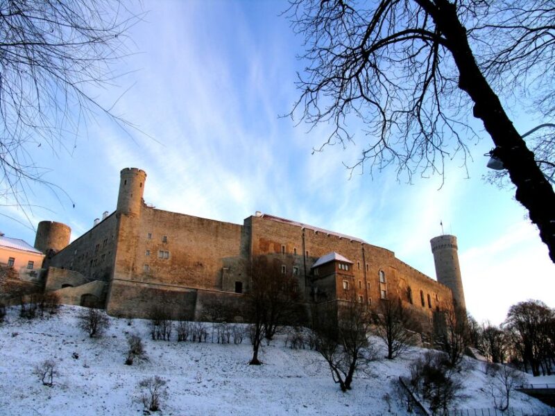 Helsinki: Tallinn Guided Day Tour With Ferry Crossing - Important Information