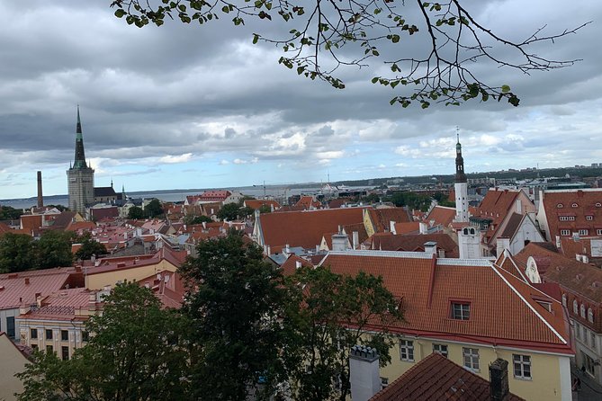Helsinki to Tallinn Guided Tour With Return Cruise Tickets - Cruise Ticket Information