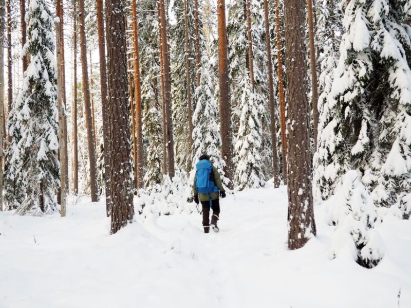 Helsinki: Winter Wonderland Liesjärvi National Park Hike - Customer Feedback