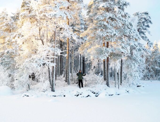 Helsinki: Winter Wonderland Liesjärvi National Park Hike - Warming Lunch by Campfire
