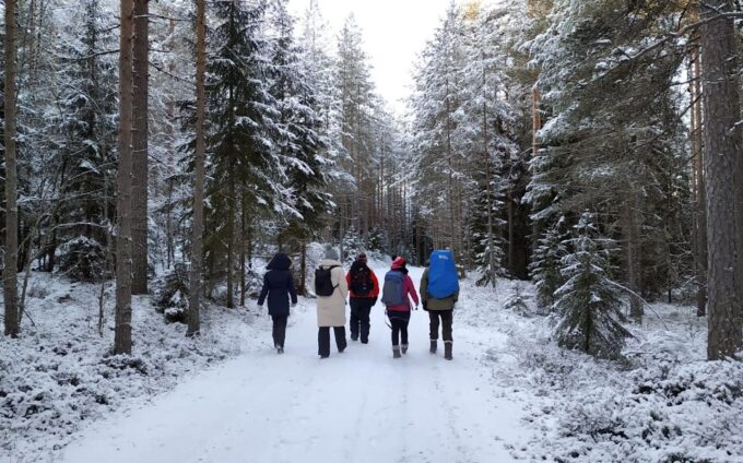 Helsinki: Winter Wonderland Liesjärvi National Park Hike - Off-the-Beaten-Path Forest Trails