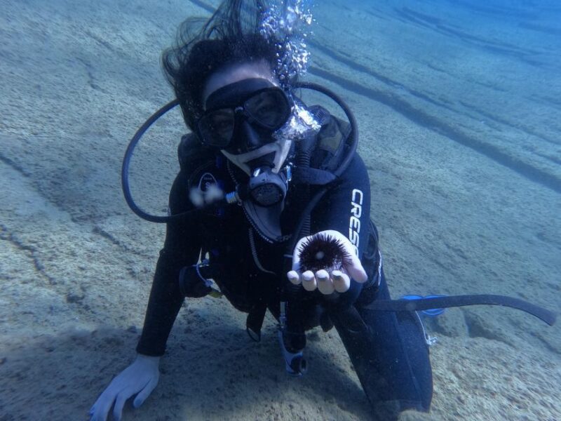 Heraklion: Afternoon Private Scuba Dive (Beginners) - Restrictions and Limitations