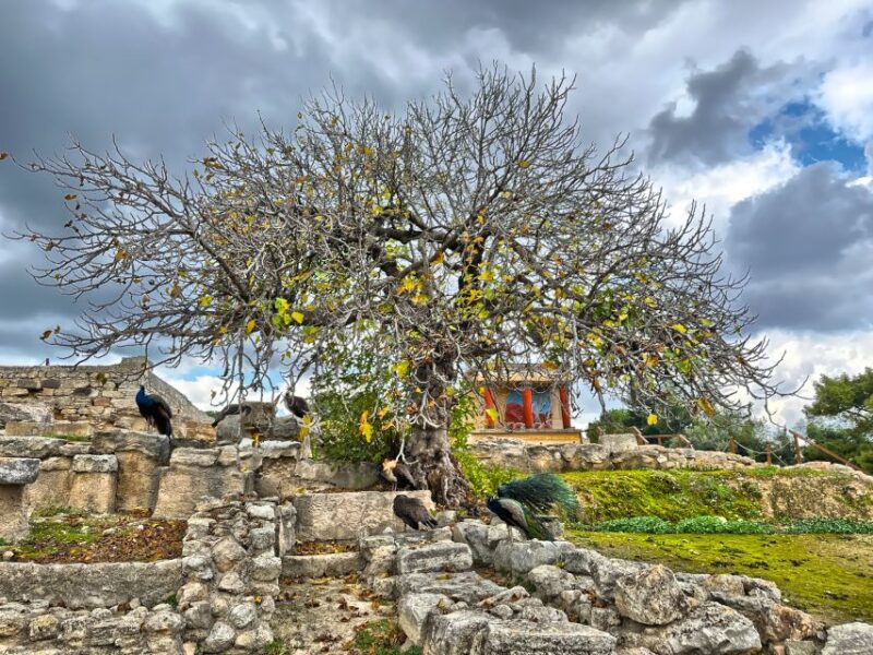Heraklion: Archeological Museum of Heraklion Entrance & Tour - Key Points
