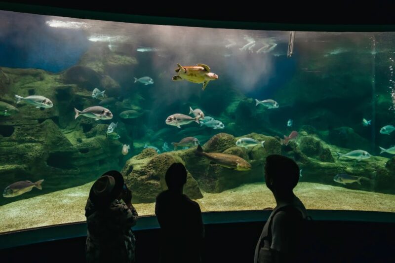 Heraklion Area: CRETAquarium Admission Ticket - Aquarium Highlights and Exhibits