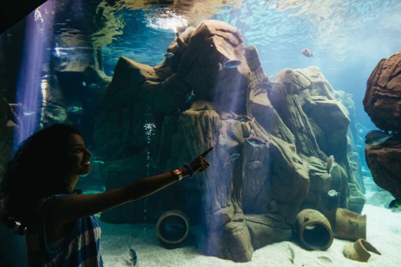 Heraklion Area: CRETAquarium Admission Ticket - Customer Ratings and Feedback