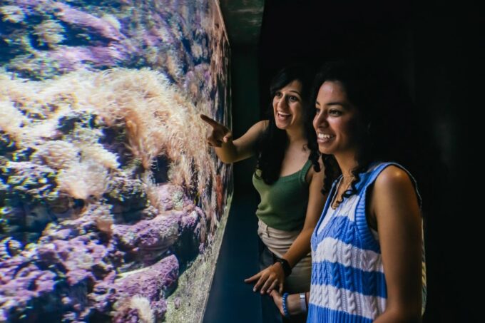 Heraklion Area: CRETAquarium Admission Ticket - Things to Note Before Visiting