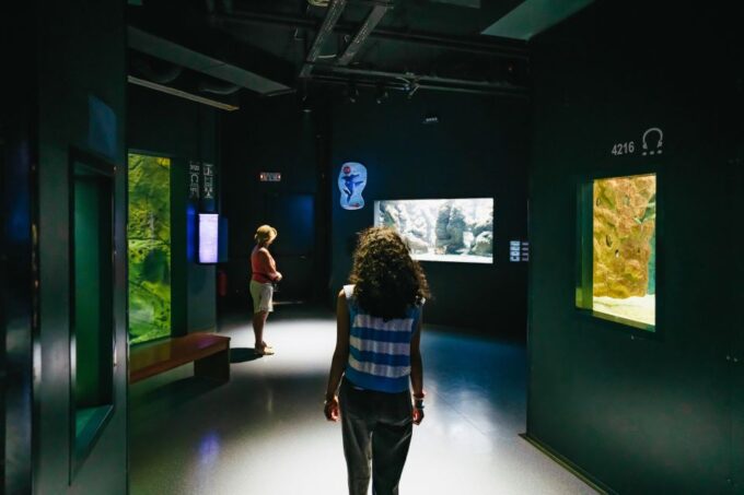 Heraklion Area: CRETAquarium Admission Ticket - Planning Your Aquarium Experience