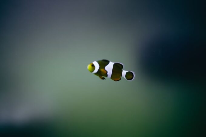 Heraklion Area: CRETAquarium Admission Ticket - Frequently Asked Questions