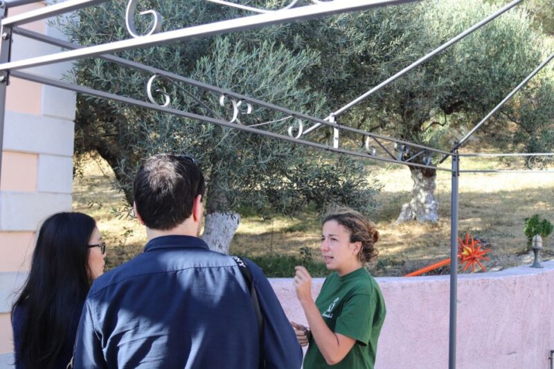 Heraklion Area: Secrets of Olive Oil and Wine Tasting Tour - Discover Cretan Olive Oil and Wine