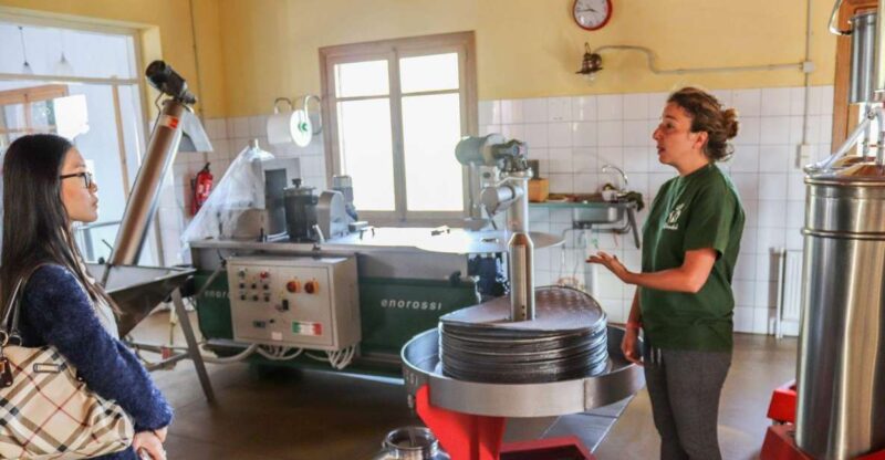 Heraklion Area: Secrets of Olive Oil and Wine Tasting Tour - Visit Family-Run Olive Oil Producer