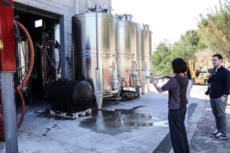 Heraklion Area: Secrets of Olive Oil and Wine Tasting Tour - Tour a Boutique Winery