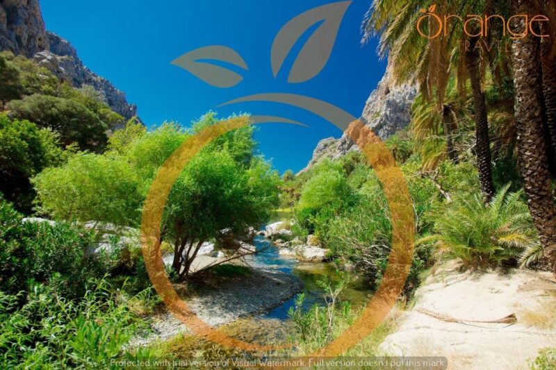 Heraklion Areas: Preveli Palm Beach & Rethymno Day Bus Tour - Itinerary and Highlights