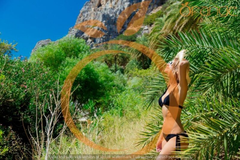 Heraklion Areas: Preveli Palm Beach & Rethymno Day Bus Tour - Kourtaliotiko Gorge