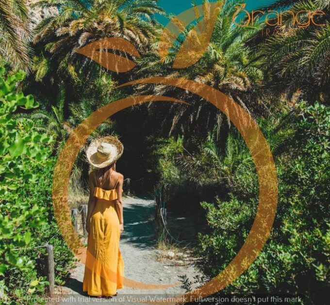 Heraklion Areas: Preveli Palm Beach & Rethymno Day Bus Tour - Magnificent Springs