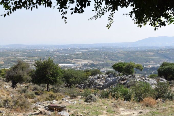 Heraklion: Authentic Greek Food Cooking Class - Dietary Accommodations and Cancellation Policy