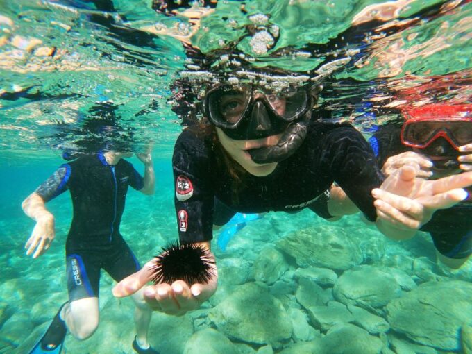 Heraklion: Beginner-Friendly Snorkeling Trip - Customer Reviews