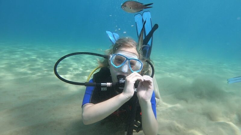 Heraklion: Beginner Scuba Diving Lesson With PADI Instructor - Key Points