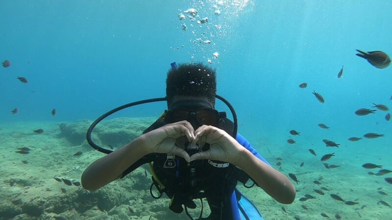 Heraklion: Beginner Scuba Diving Lesson With PADI Instructor - Pricing and Booking