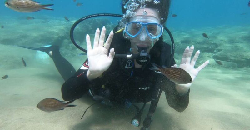 Heraklion: Beginner Scuba Diving Lesson With PADI Instructor - Transportation Options