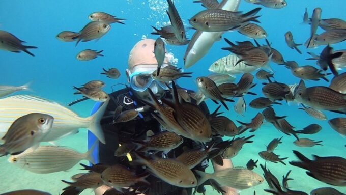 Heraklion: Beginner Scuba Diving Lesson With PADI Instructor - Underwater Exploration Experience