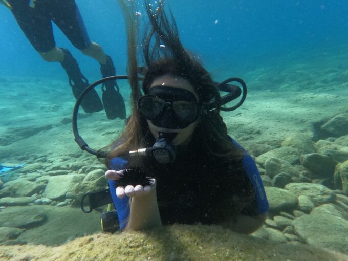 Heraklion: Beginners Intro Dive W/2 Dives With Transfer. - Medical Questionnaire and Certification