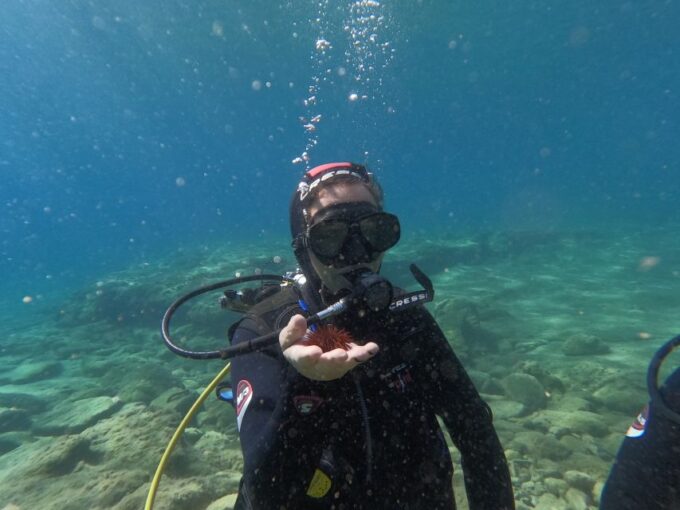 Heraklion: Beginners Intro Dive W/2 Dives With Transfer. - Personal Details and Profile Setup