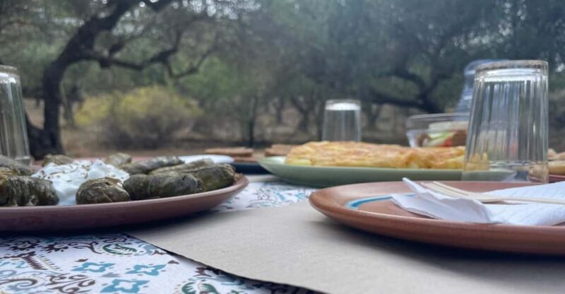 Heraklion: Cretan Farmers Brunch and Olive Grove Tour - Key Points