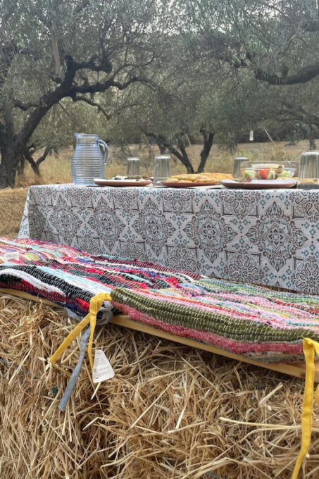 Heraklion: Cretan Farmers Brunch and Olive Grove Tour - Recap