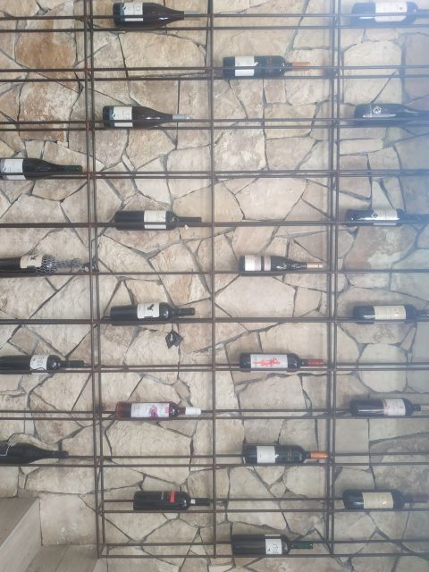 Heraklion: Ecobike Tour With Wine Tasting - Activity Inclusions