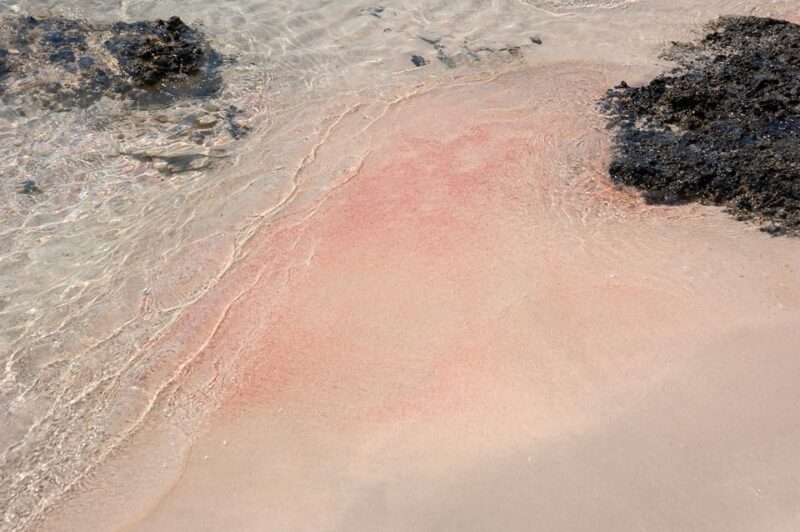 Heraklion: Elafonisi Beach: Discover the Pink Sand Paradise - Itinerary and Locations