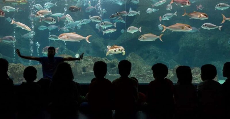 Heraklion: Family Fun Day With Dinosauria and Cretaquarium - Highlights of CRETAquarium