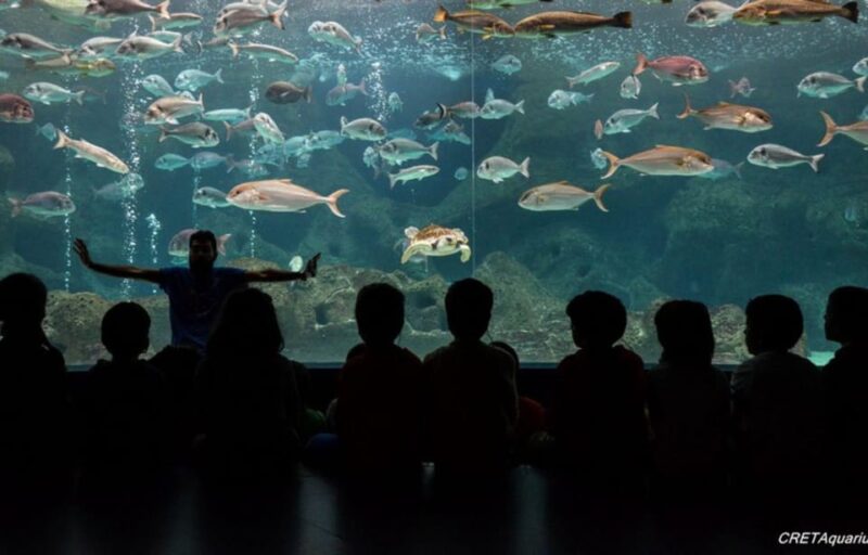 Heraklion: Family Fun Day With Dinosauria and Cretaquarium - Pickup and Drop-off Details