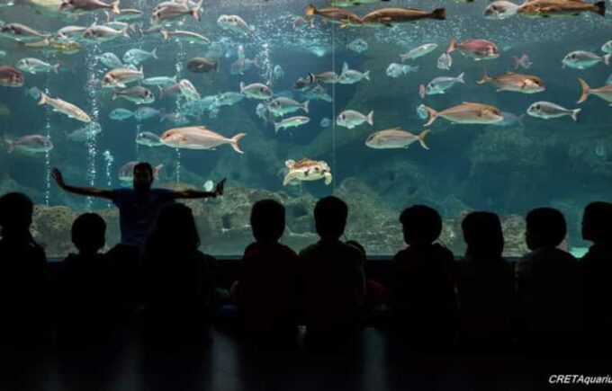 Heraklion: Family Fun Day With Dinosauria and Cretaquarium - Frequently Asked Questions