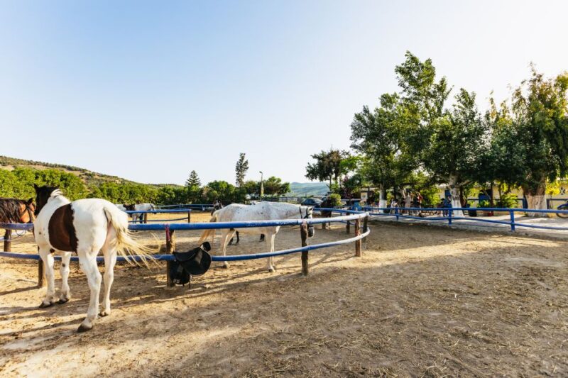 Heraklion: Finikia Horse Riding Tour With Lunch or Dinner - Experience Highlights