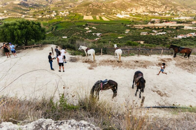 Heraklion: Finikia Horse Riding Tour With Lunch or Dinner - Pickup Arrangements