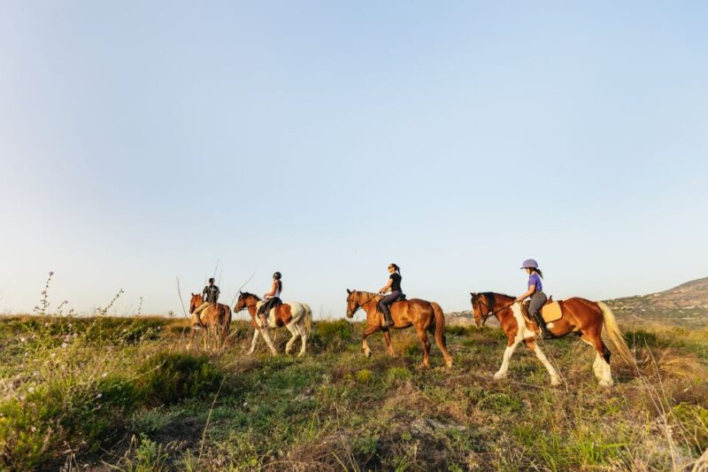 Heraklion: Finikia Horse Riding Tour With Lunch or Dinner - Weight Limit and Suitability