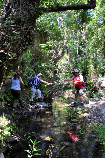 Heraklion: Full Day to Rethymno Waterfalls, Mochlos, Azoria - Discover Mochlos Fishing Village
