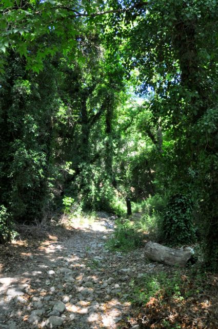 Heraklion: Full Day to Rethymno Waterfalls, Mochlos, Azoria - Witness Daily Activities