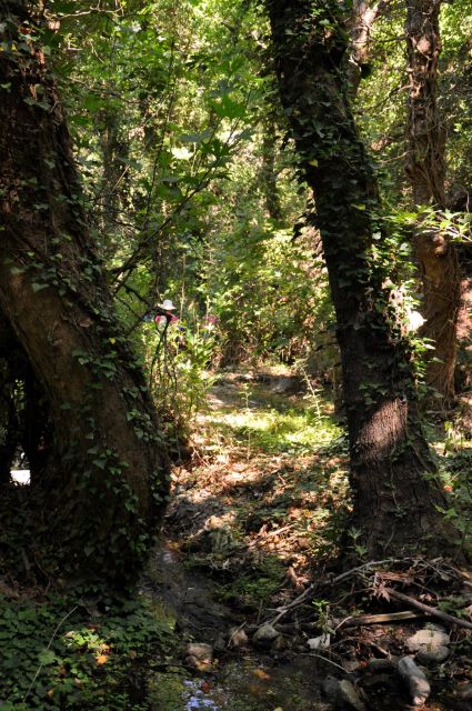 Heraklion: Full Day to Rethymno Waterfalls, Mochlos, Azoria - Personalized and Intimate Experience