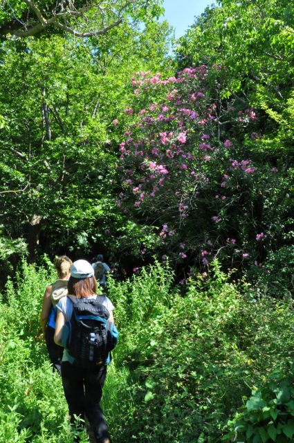Heraklion: Full Day to Rethymno Waterfalls, Mochlos, Azoria - Frequently Asked Questions