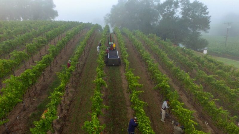 Heraklion: Half Day Semi Private Wine Tour With Tastings - Digenakis Winery