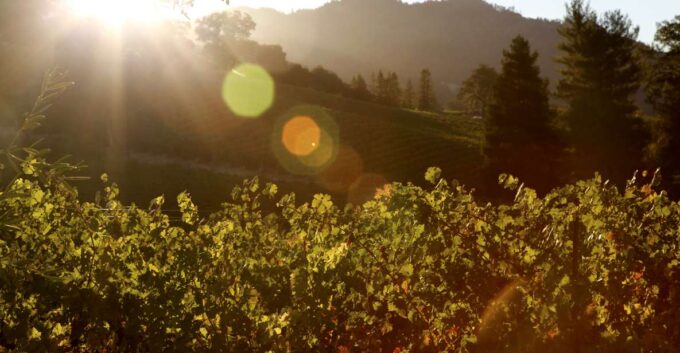 Heraklion: Half Day Semi Private Wine Tour With Tastings - Booking Details